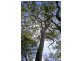 Cogra Bay NSW 2083