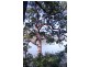 Cogra Bay NSW 2083