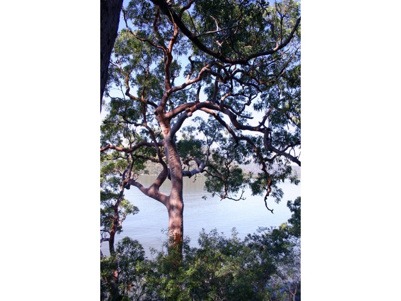 Cogra Bay NSW 2083