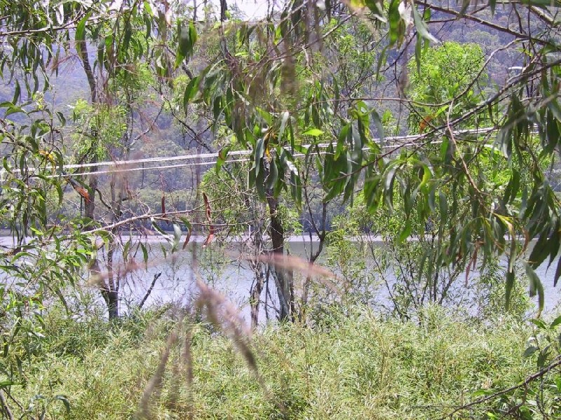 Wendoree Park NSW 2250