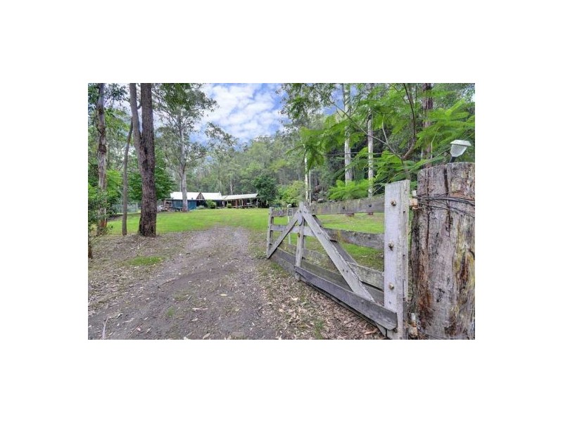 Laguna NSW 2325