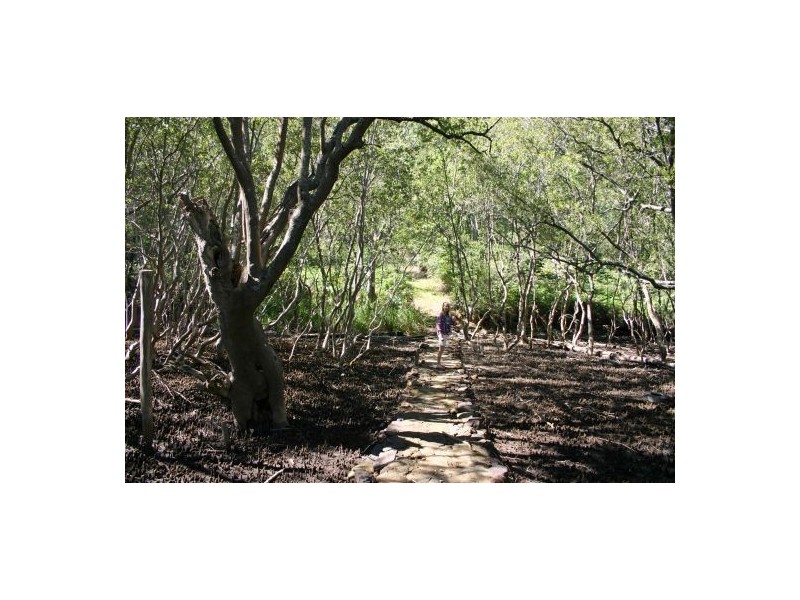 11a Big Jims Reach, Bar Point NSW 2083