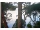 Cheero Point NSW 2083