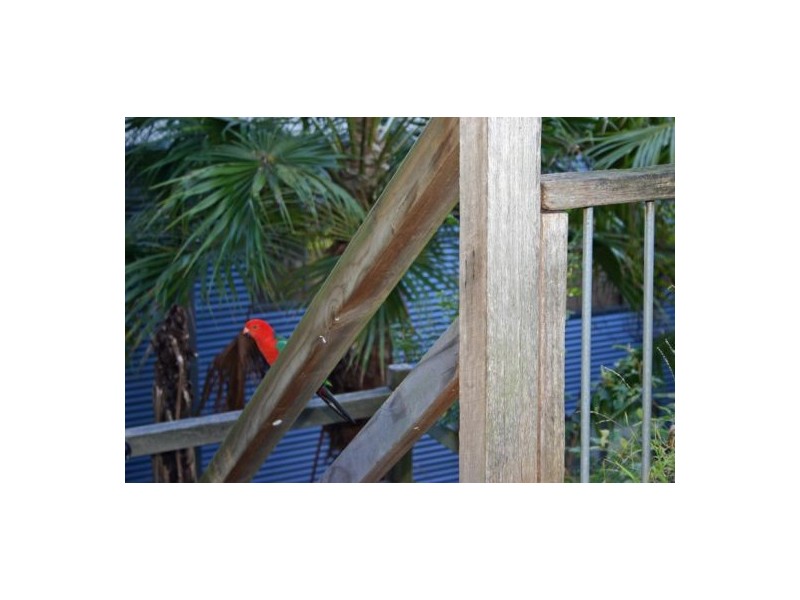 Mooney Mooney NSW 2083