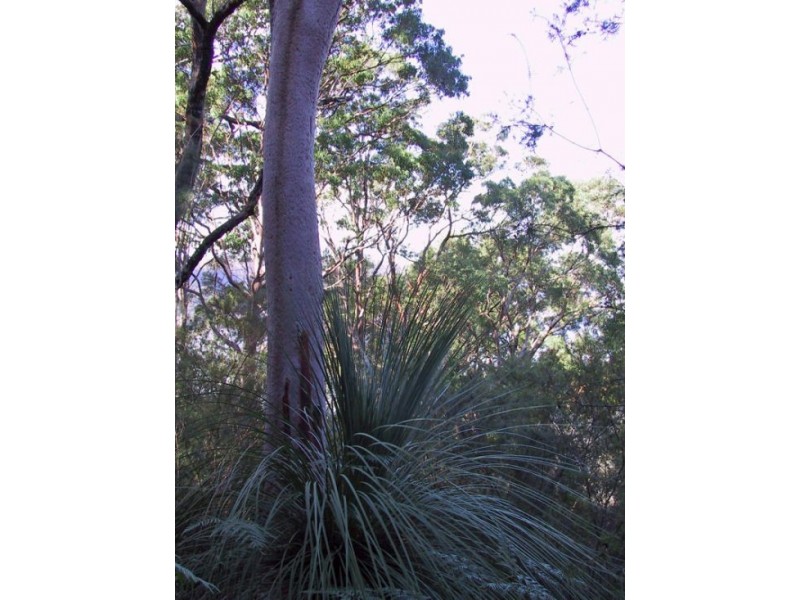 Mooney Mooney NSW 2083