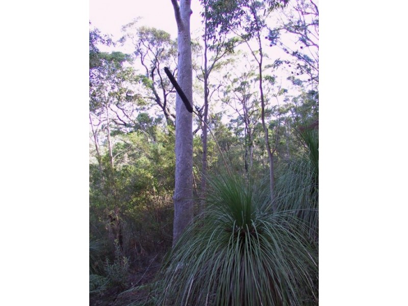 Mooney Mooney NSW 2083