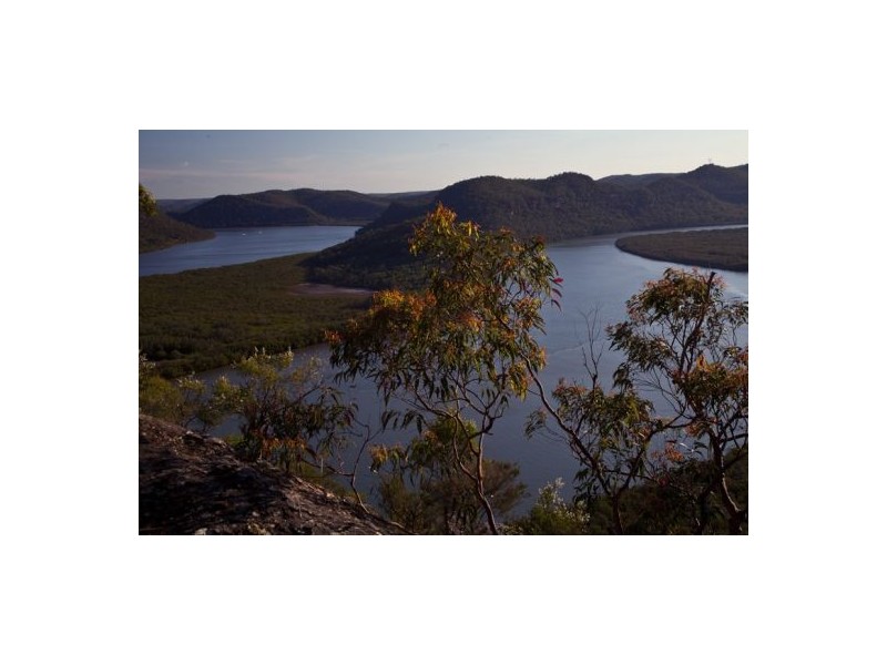 Mount White NSW 2250