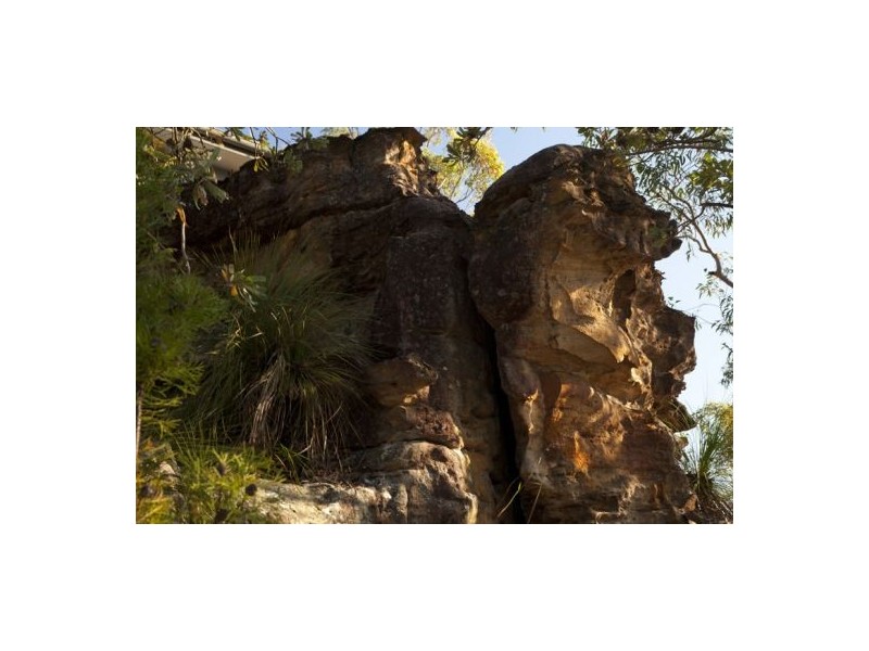 Mount White NSW 2250