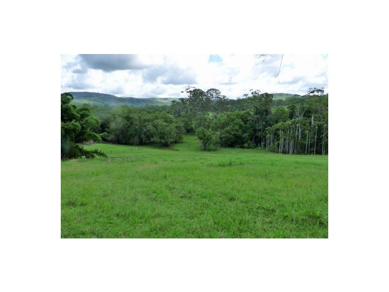 Mooloolah Valley QLD 4553