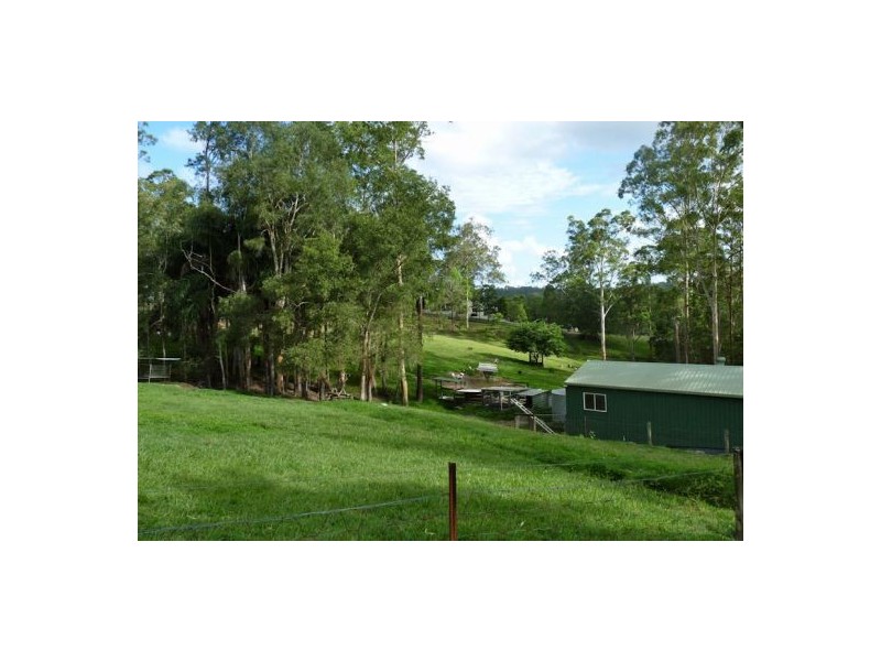 Mooloolah Valley QLD 4553