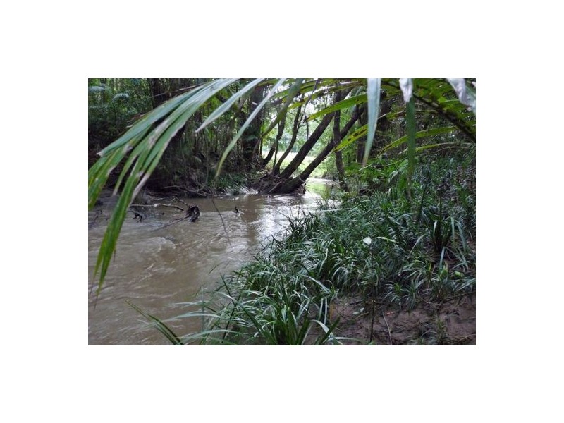 Mooloolah Valley QLD 4553