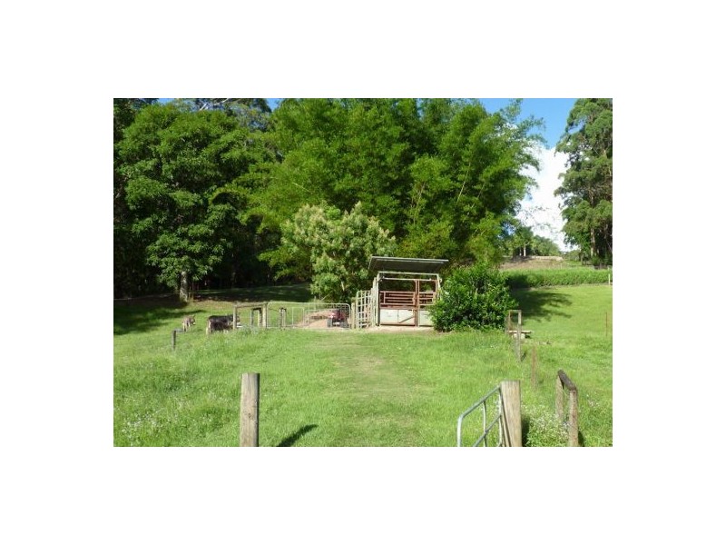 Mooloolah Valley QLD 4553