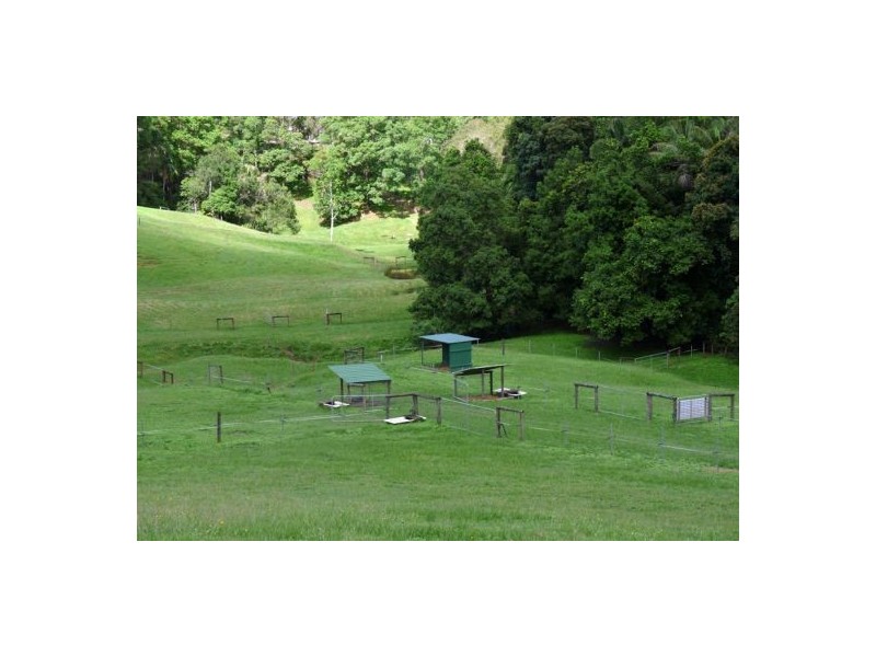 Mooloolah Valley QLD 4553