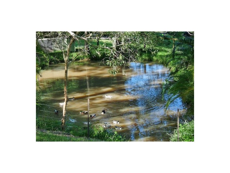 Mooloolah Valley QLD 4553