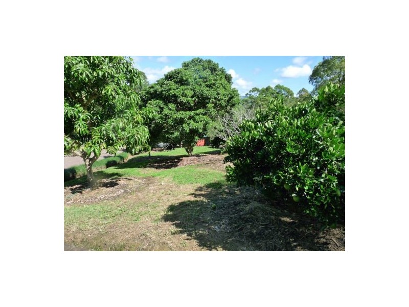 Mooloolah Valley QLD 4553