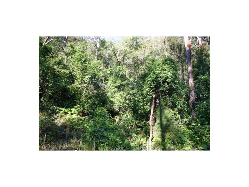 Wendoree Park NSW 2250