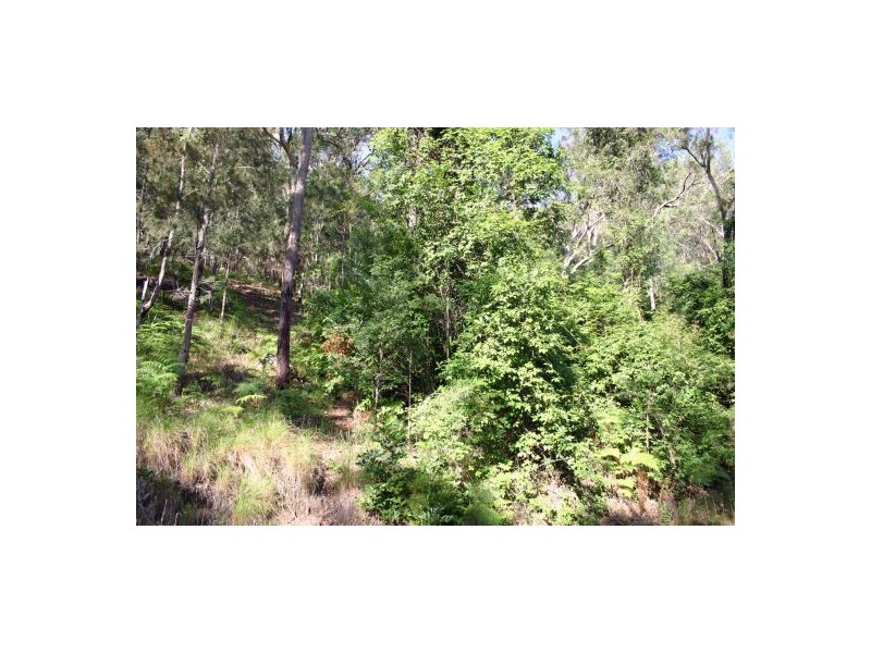 Wendoree Park NSW 2250