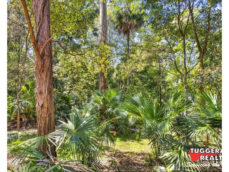 52 Rain Forest Road, Wyoming NSW 2250