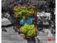 67 Casey Drive, Watanobbi NSW 2259
