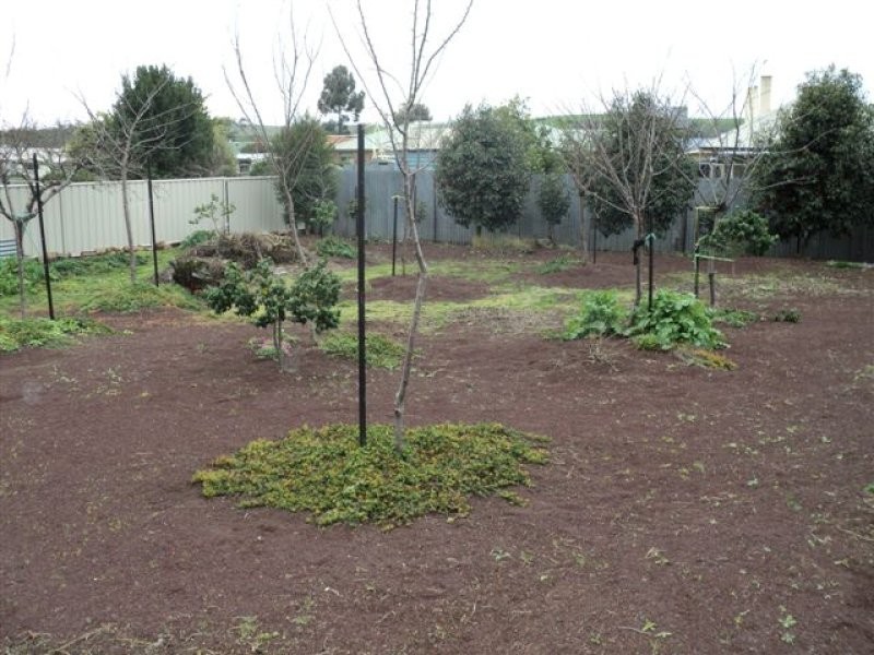 68 McConochie Street, Coleraine VIC 3315