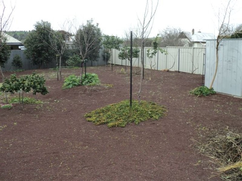 68 McConochie Street, Coleraine VIC 3315