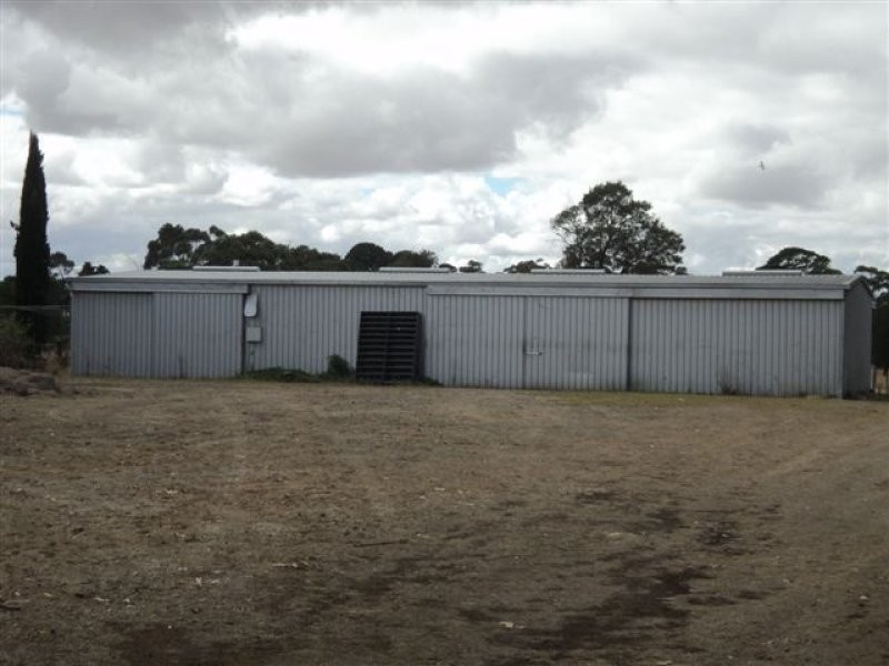 Oval Avenue, Tarrington VIC 3301