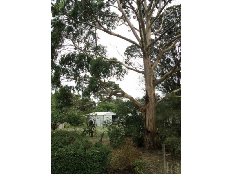 231-233 coleraine road, Hamilton VIC 3300