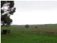 58 Atkinson Road, Branxholme VIC 3302