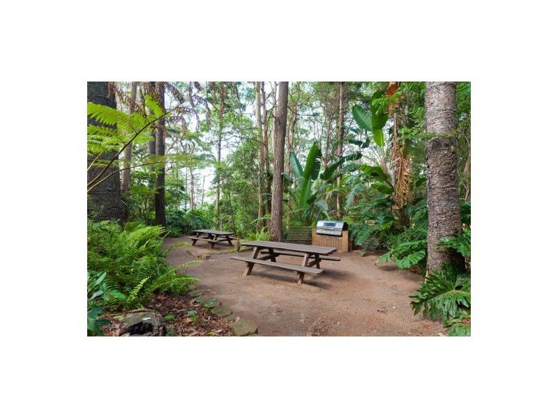 49/784 Pacific Highway, Sapphire Beach NSW 2450