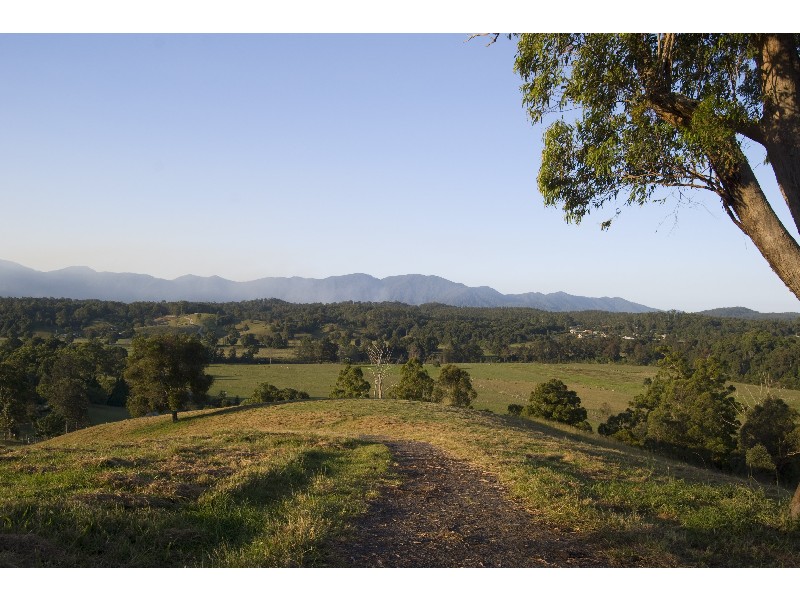 Bellingen NSW 2454