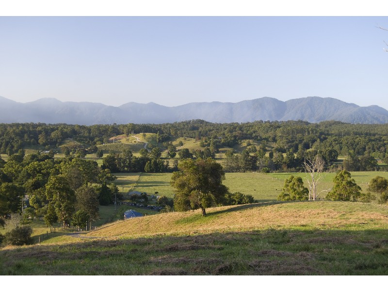 Bellingen NSW 2454