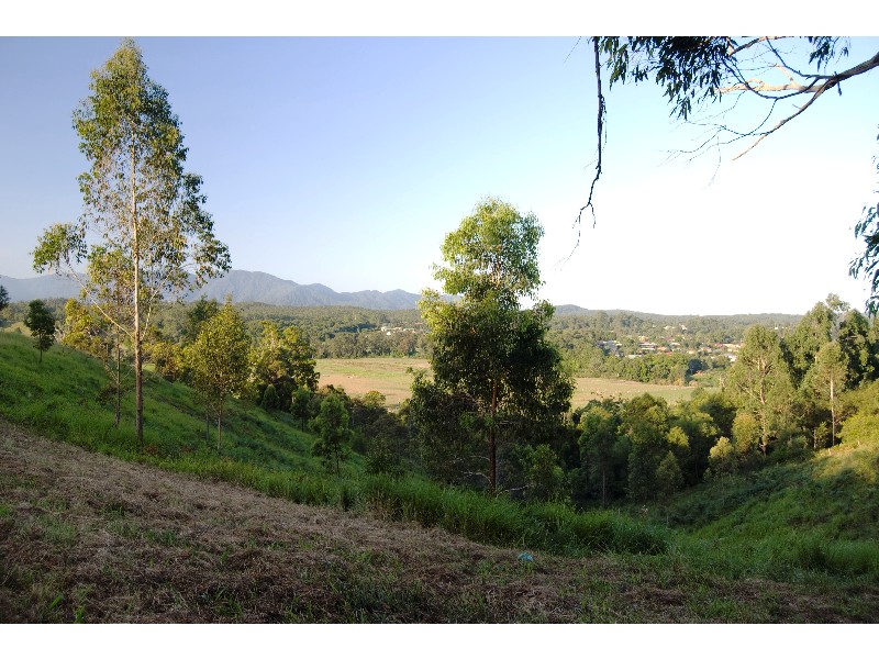 Bellingen NSW 2454