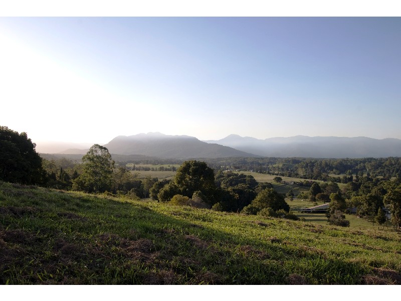 Bellingen NSW 2454