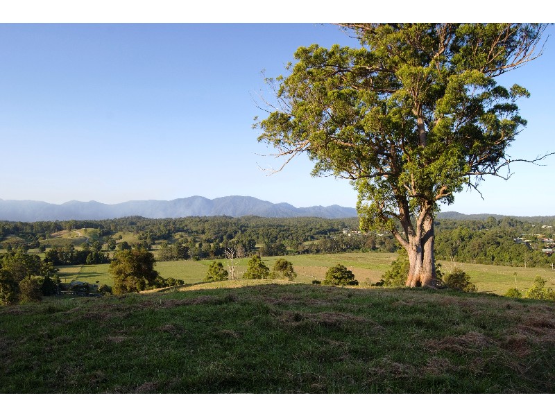 Bellingen NSW 2454