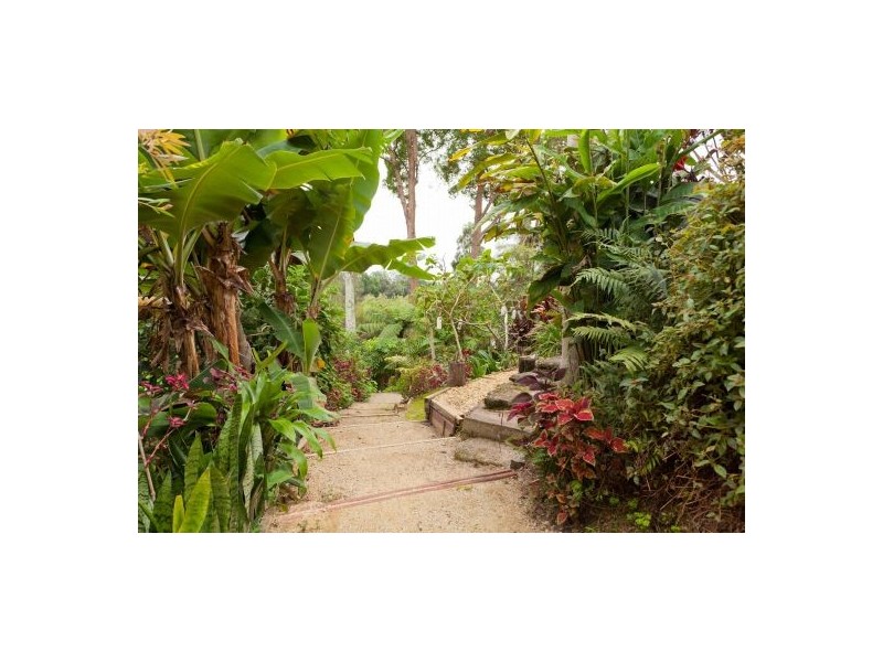 58 Old Pacific Highway, Raleigh NSW 2454