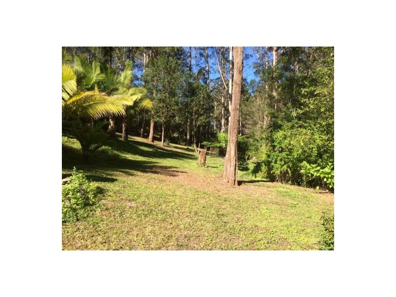 6 Tall Gums Drive, Raleigh NSW 2454