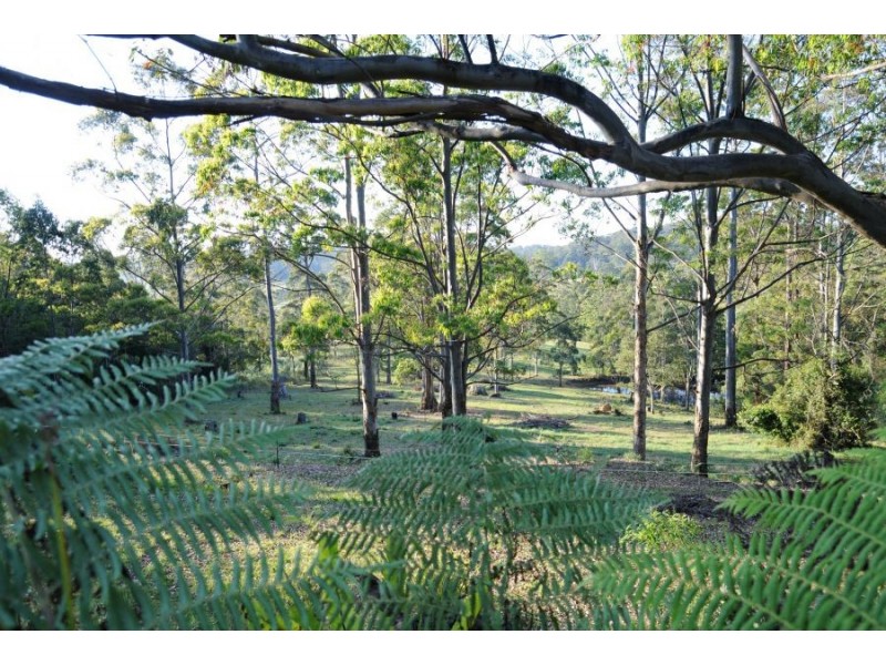 203-245 Moleton Road, Lowanna NSW 2450