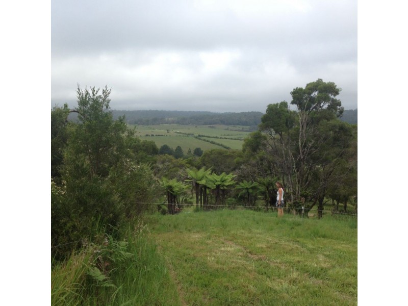 2a Moleton Road, Lowanna NSW 2450