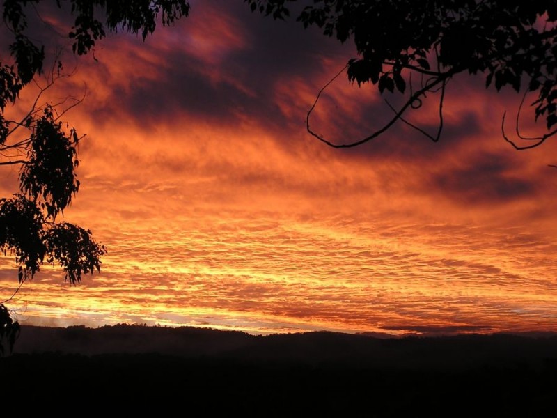 1020 East Bank Road, Nana Glen NSW 2450