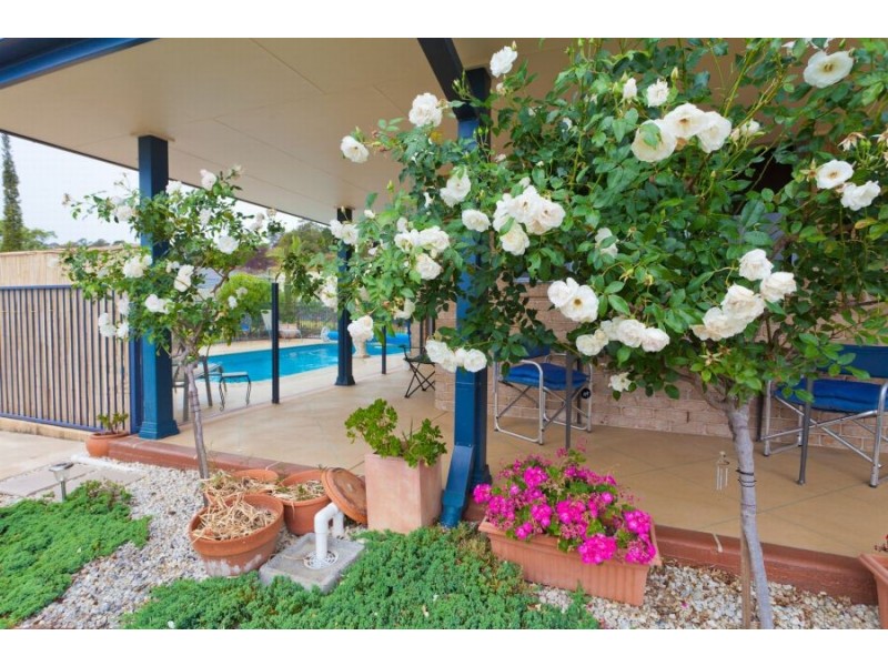 9 View Drive, Boambee East NSW 2452