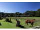 129 Grafton Street, Nana Glen NSW 2450