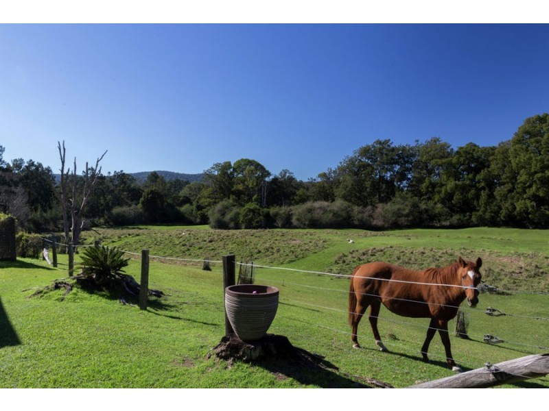 129 Grafton Street, Nana Glen NSW 2450