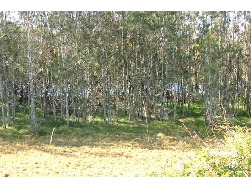 Urunga NSW 2455