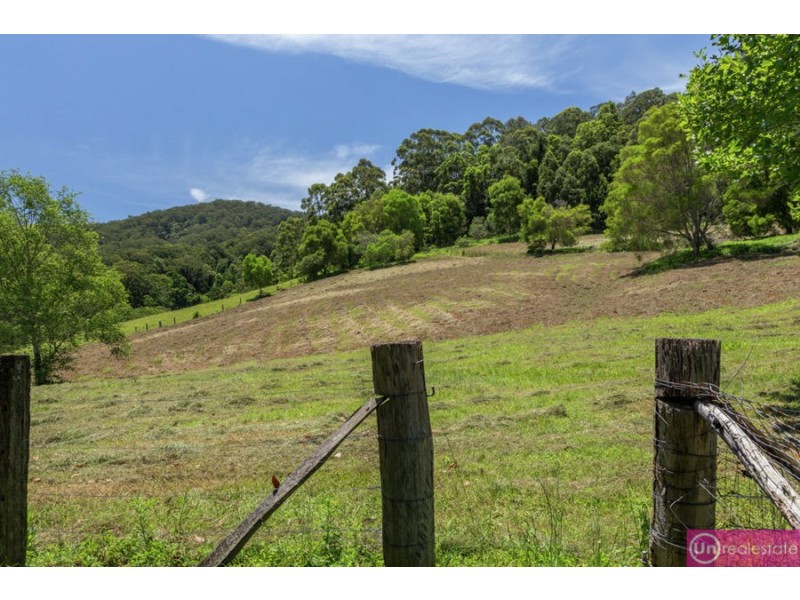 420 Crossmaglen Road, Bonville NSW 2441