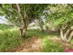 72 Boultwood Street, Coffs Harbour NSW 2450