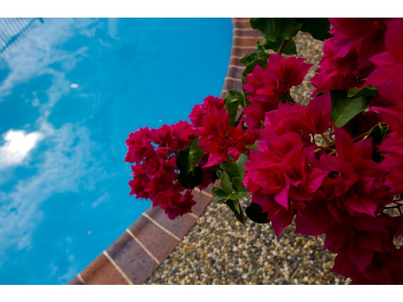 3/7 Vincent Street, Coffs Harbour NSW 2450