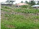 Boambee East NSW 2452