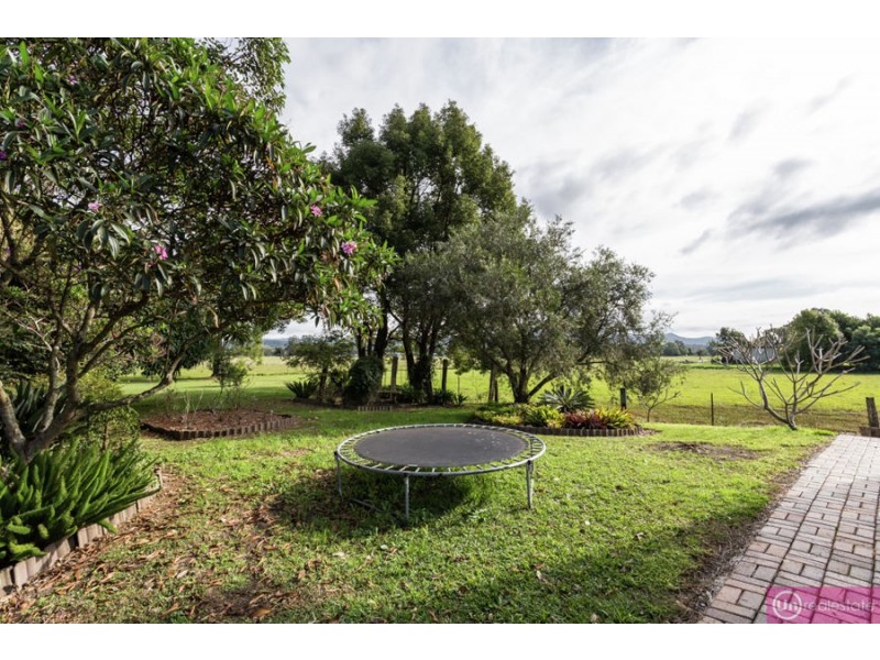 65 Gurney Street, Raleigh NSW 2454