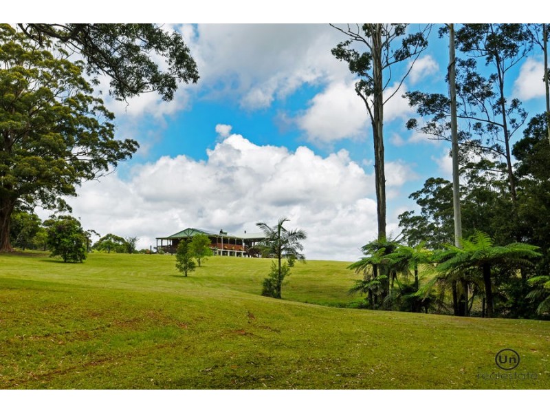 1653 Eastern Dorrigo Way, Ulong NSW 2450