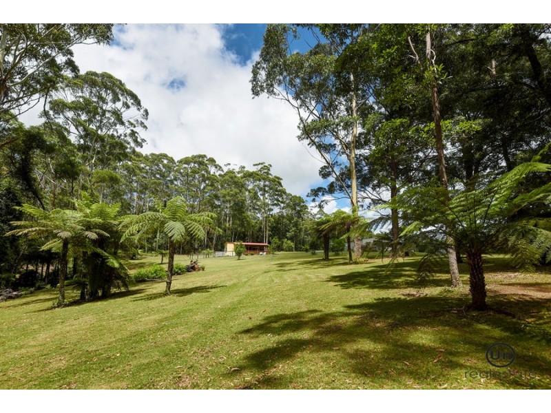 1653 Eastern Dorrigo Way, Ulong NSW 2450